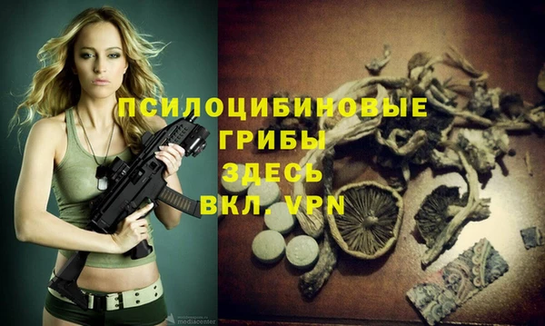 a pvp Арсеньев