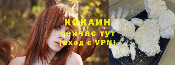 дживик Аркадак