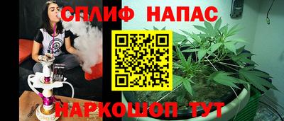 винт Тара