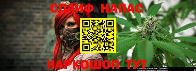 винт Тара