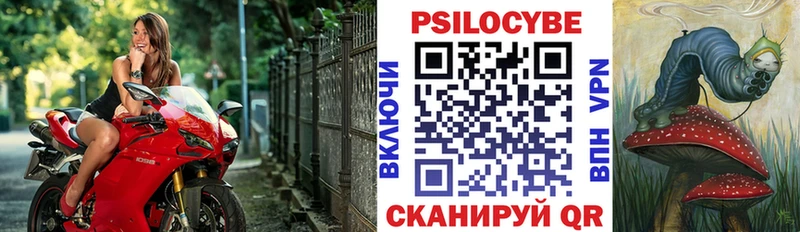 Галлюциногенные грибы мицелий  купить наркотик  Раменское 