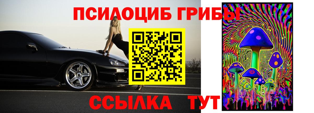 Раменское  Галлюциногенные грибы прущие грибы  магазин продажи   Вход с VPN 